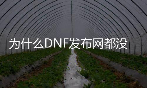 为什么DNF发布网都没有魔枪（dnf魔枪吧）