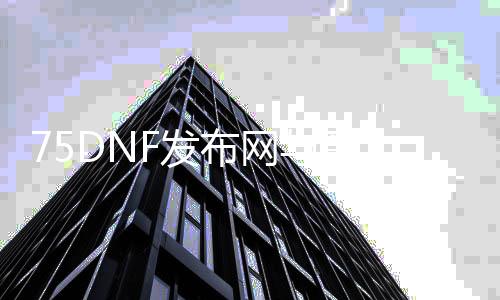 75DNF发布网与勇士私服（DNF发布网75级版本）