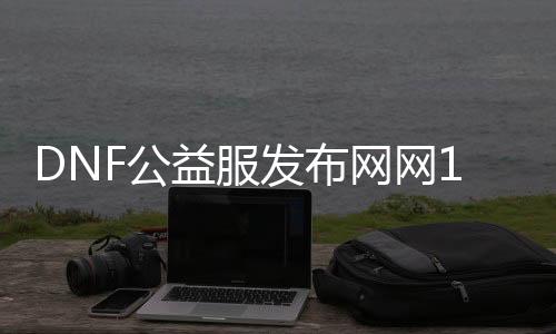 DNF公益服发布网网100级怎么玩,最新DNF公益服发布网网100级攻略