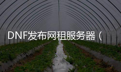 DNF发布网租服务器（dnf有没有租号平台）