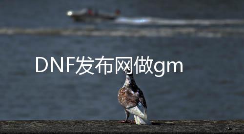 DNF发布网做gm