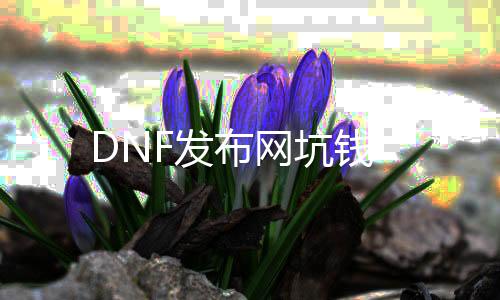 DNF发布网坑钱