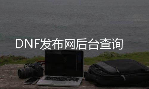 DNF发布网后台查询