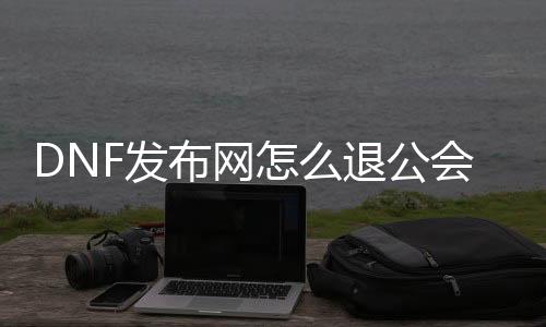 DNF发布网怎么退公会（dnf退公会怎么退）