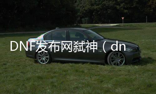 DNF发布网弑神（dnf弑神剑）