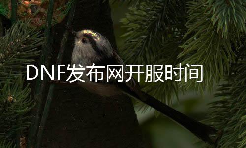 DNF发布网开服时间