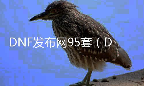 DNF发布网95套（DNF发布网95）