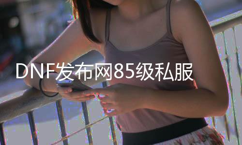 DNF发布网85级私服（dnf85）