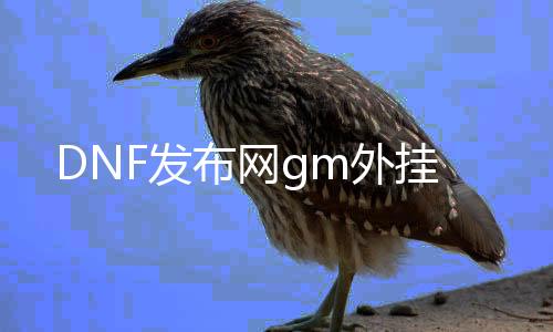 DNF发布网gm外挂