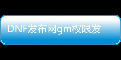 DNF发布网gm权限发布会