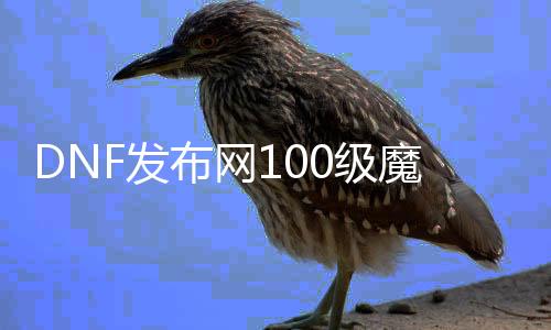 DNF发布网100级魔枪士（DNF发布网魔枪士100版本哪个好）