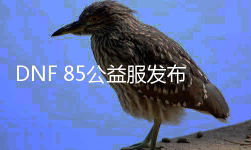 DNF 85公益服发布网开放时间，DNF 85公益服发布网下载和注册攻略