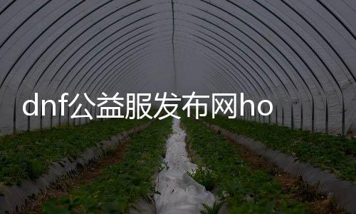 dnf公益服发布网hosts下载（提供dnf公益服发布网hosts文件下载）