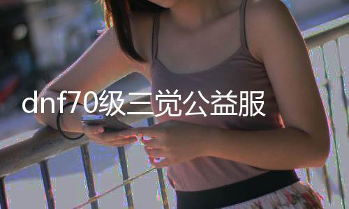 dnf70级三觉公益服发布网（体验最新版本的公益服发布网）