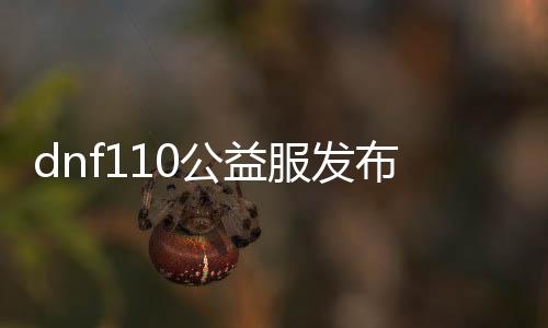 dnf110公益服发布网定制有哪些特点,如何定制dnf110公益服发布网